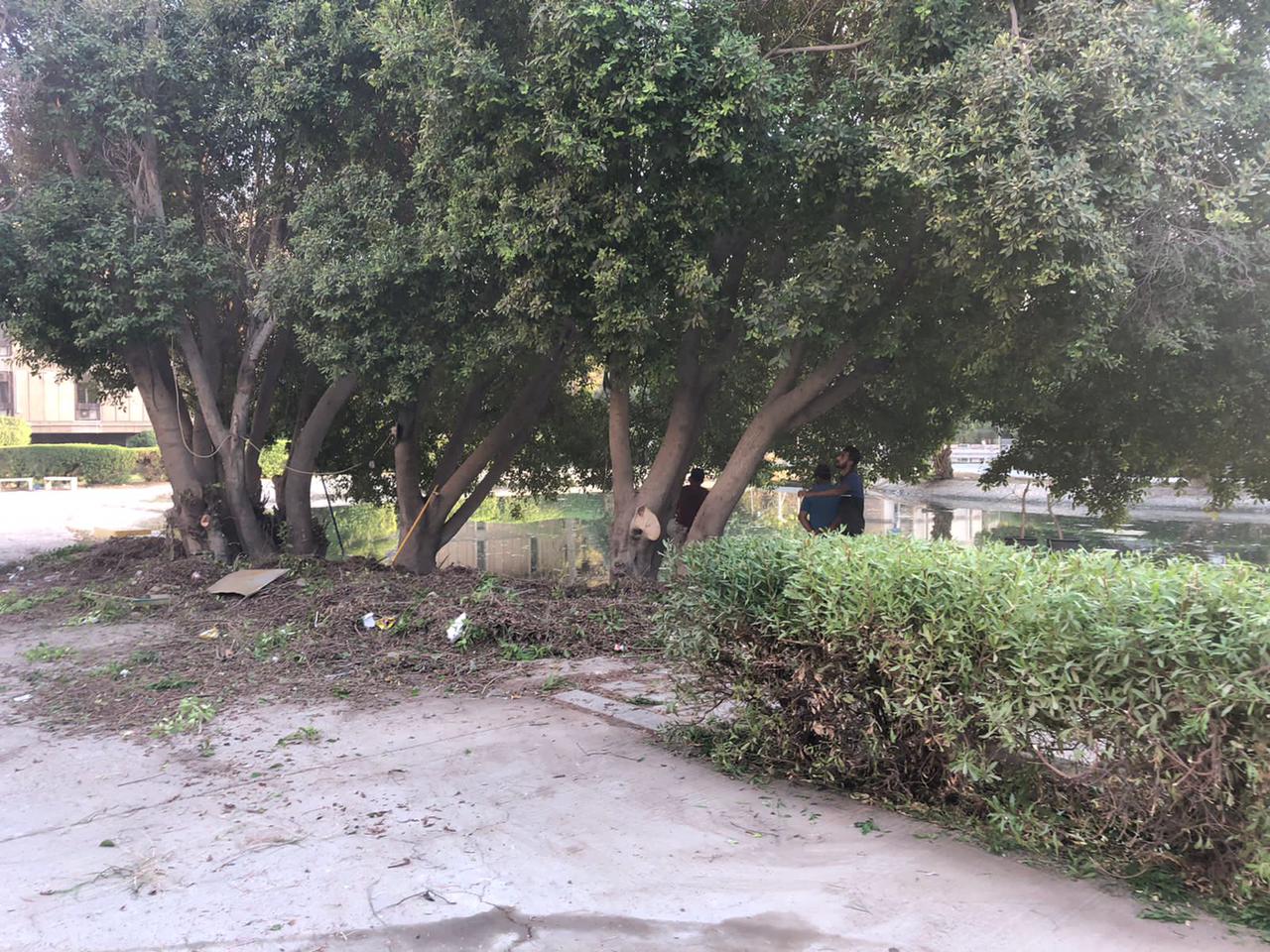 84636566-7B34-4FC7-AF05-0C515F27F191