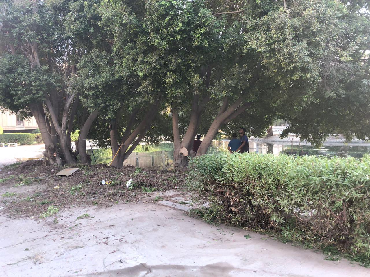 EB712424-DBE1-44FD-8DFC-441A3DB7B303