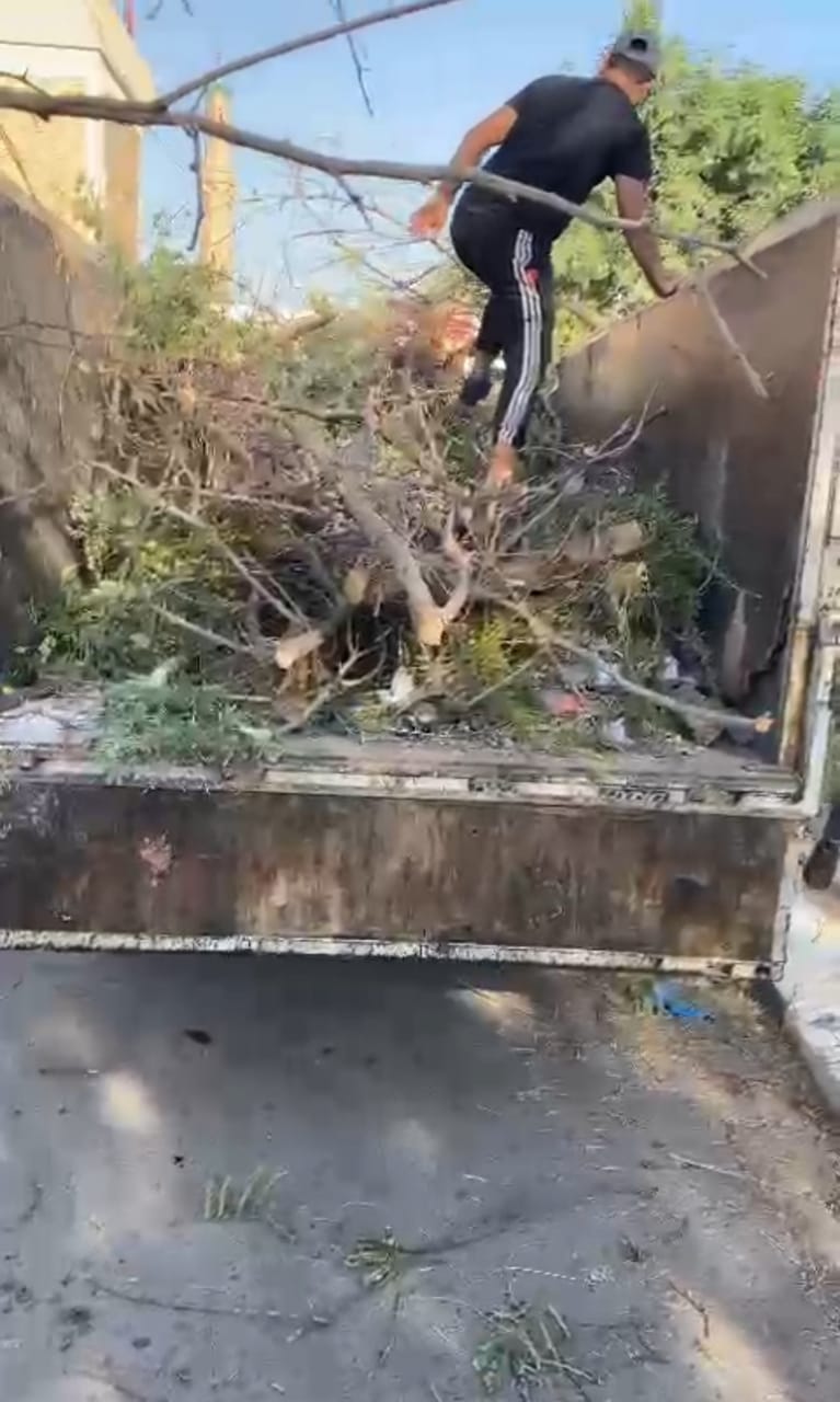 قسم شؤون الديوان ينظم حملة لتقليم الاشجار في مجمع باب المعظم (1)