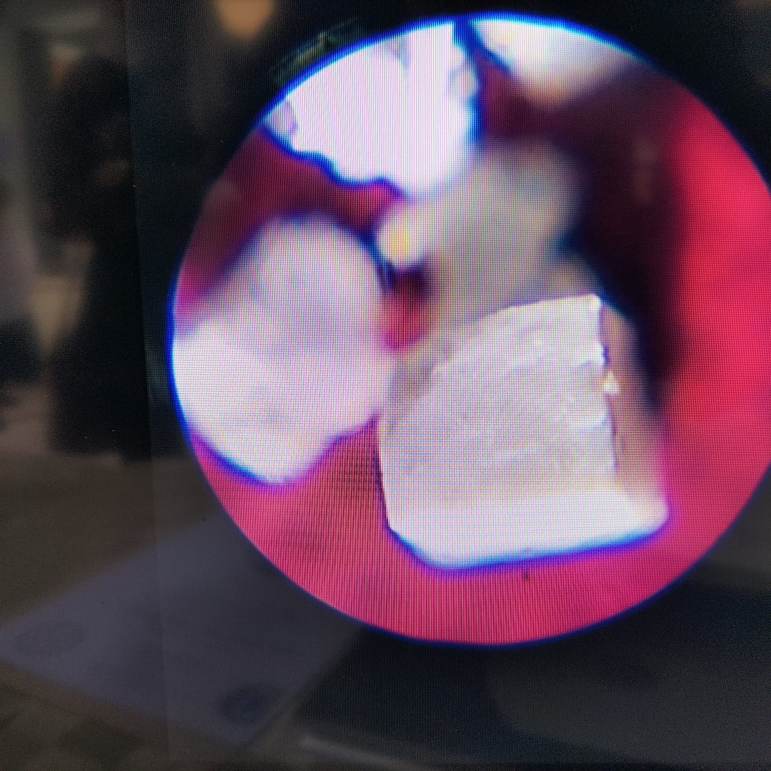 4A1731C4-A916-4CD9-90CA-B61B91E76F2F