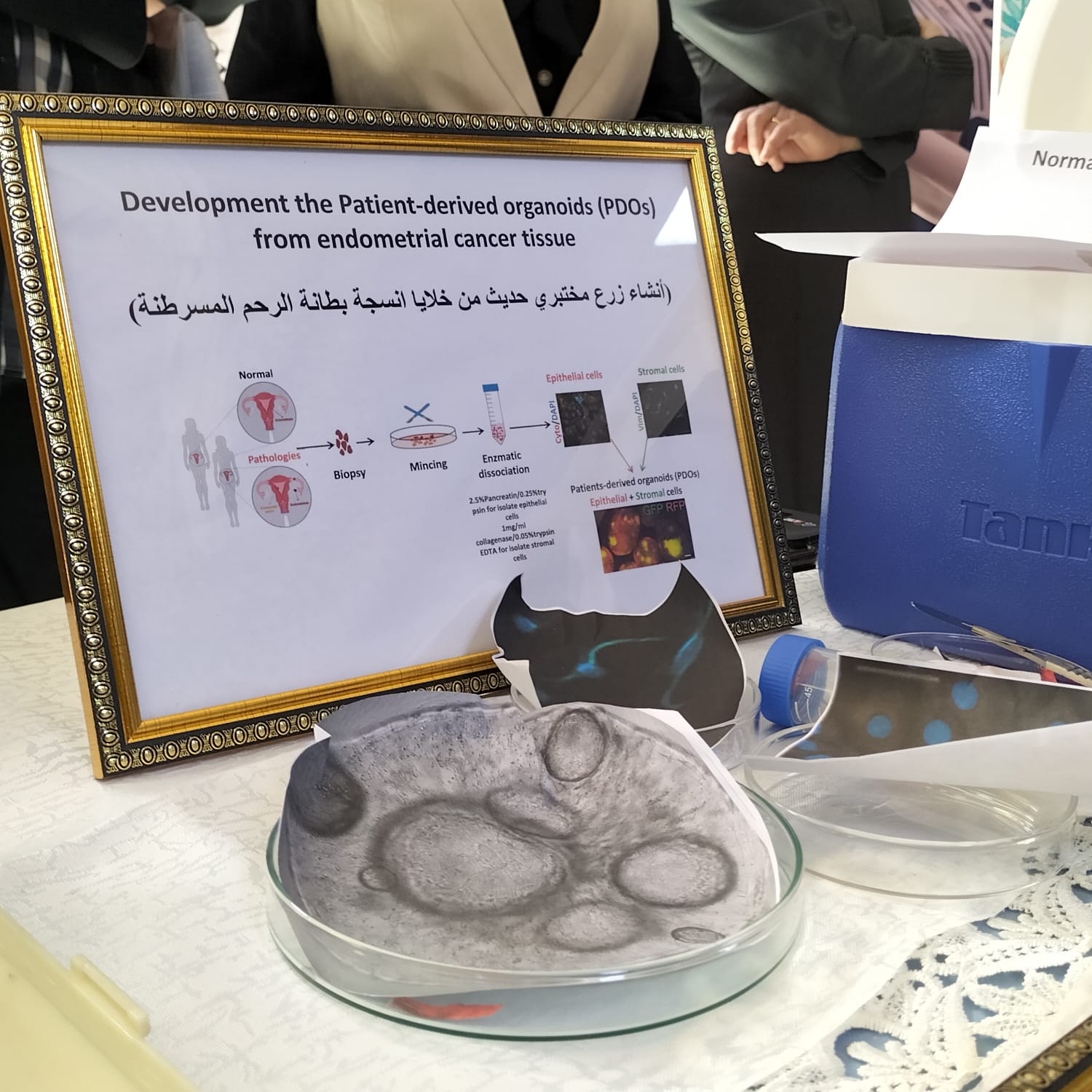 84B43249-0EDE-43E2-AB6C-1E45B6A6D5BE